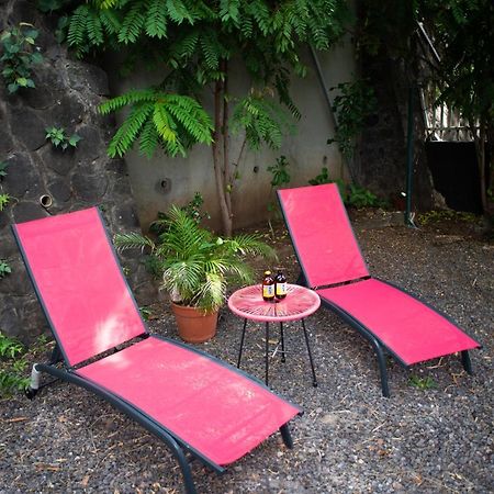 Le Bambou T3 Centre Ville Sainte Clotilde Rez De Jardin Bois de Nefles  Luaran gambar