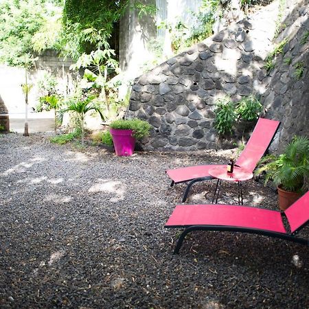 Le Bambou T3 Centre Ville Sainte Clotilde Rez De Jardin Bois de Nefles  Luaran gambar