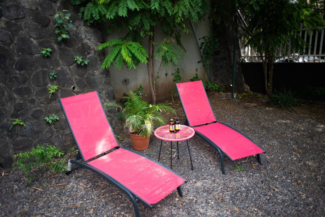 Le Bambou T3 Centre Ville Sainte Clotilde Rez De Jardin Bois de Nefles  Luaran gambar